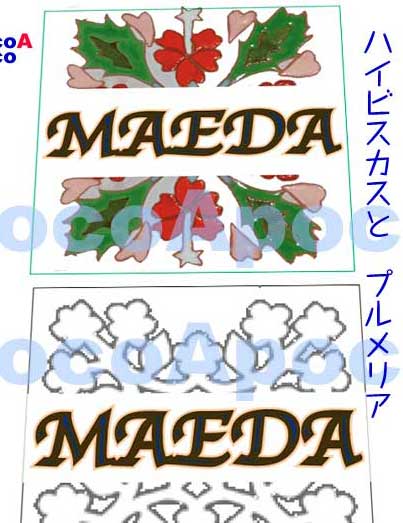 �n���C�A���\�D